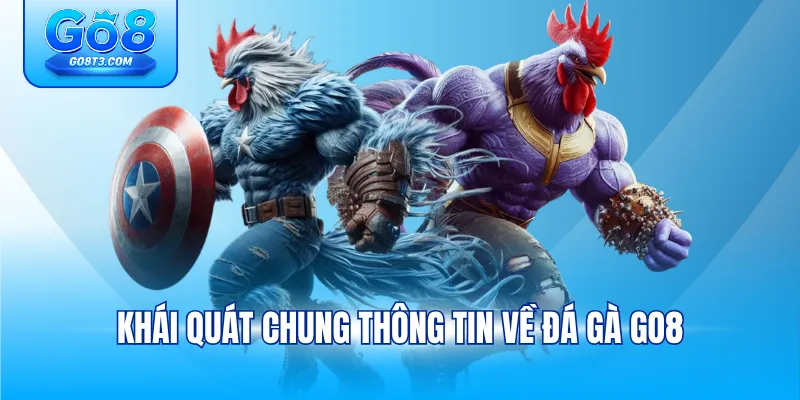 Khái quát chung thông tin về đá gà Go8