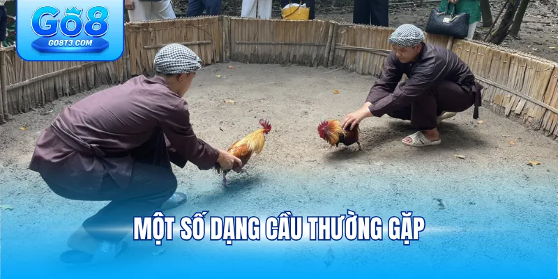 Một số dạng cầu thường gặp